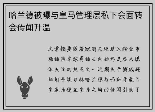 哈兰德被曝与皇马管理层私下会面转会传闻升温 哈兰德被曝与皇马管理层私下会面转会传闻升温